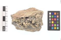 Foto von Gold (NHMW-MIN-Aa2529)
